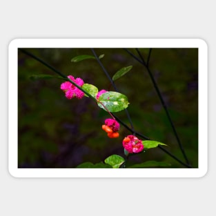 Magenta Flowers, Green Leaves Sticker